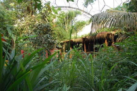 Eden Project